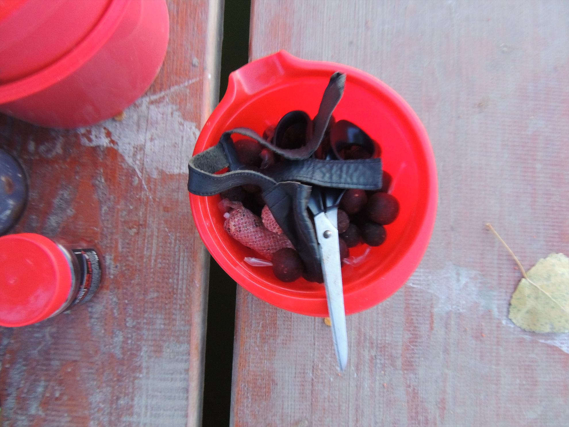 Pleasa - dscn0591.JPG